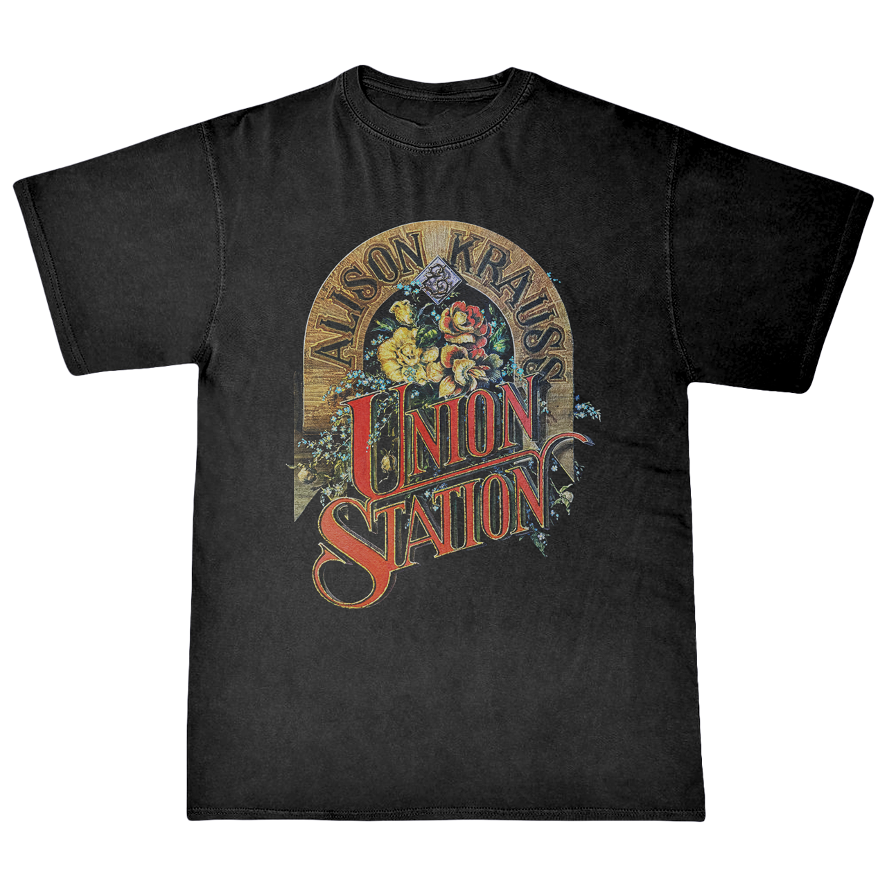 2025 Alison Krauss & Union Station Vintage Painting Tee – Alison